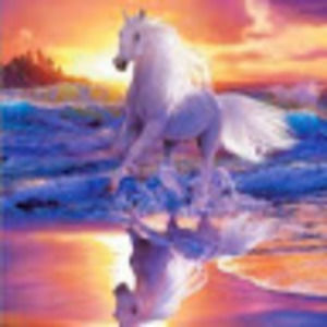 Meet your Posher, Regina